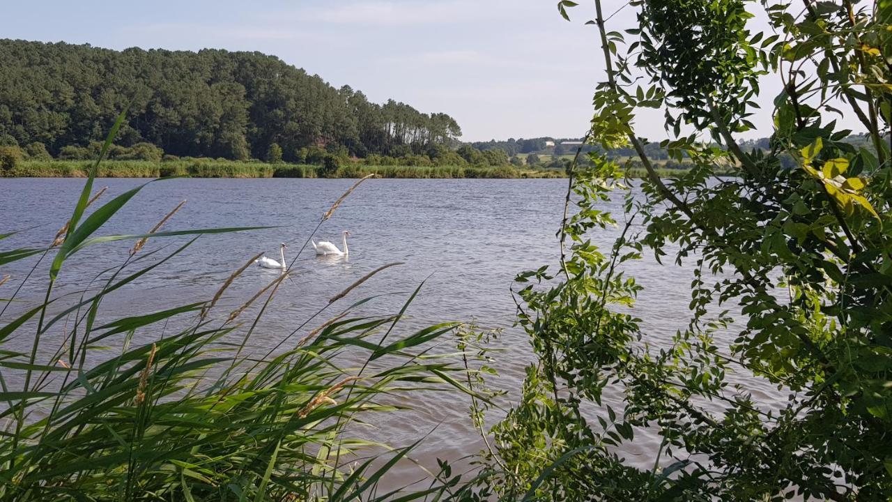 Belle Visnonia Meuble De Caractere Sud Morbihan Beganne ภายนอก รูปภาพ