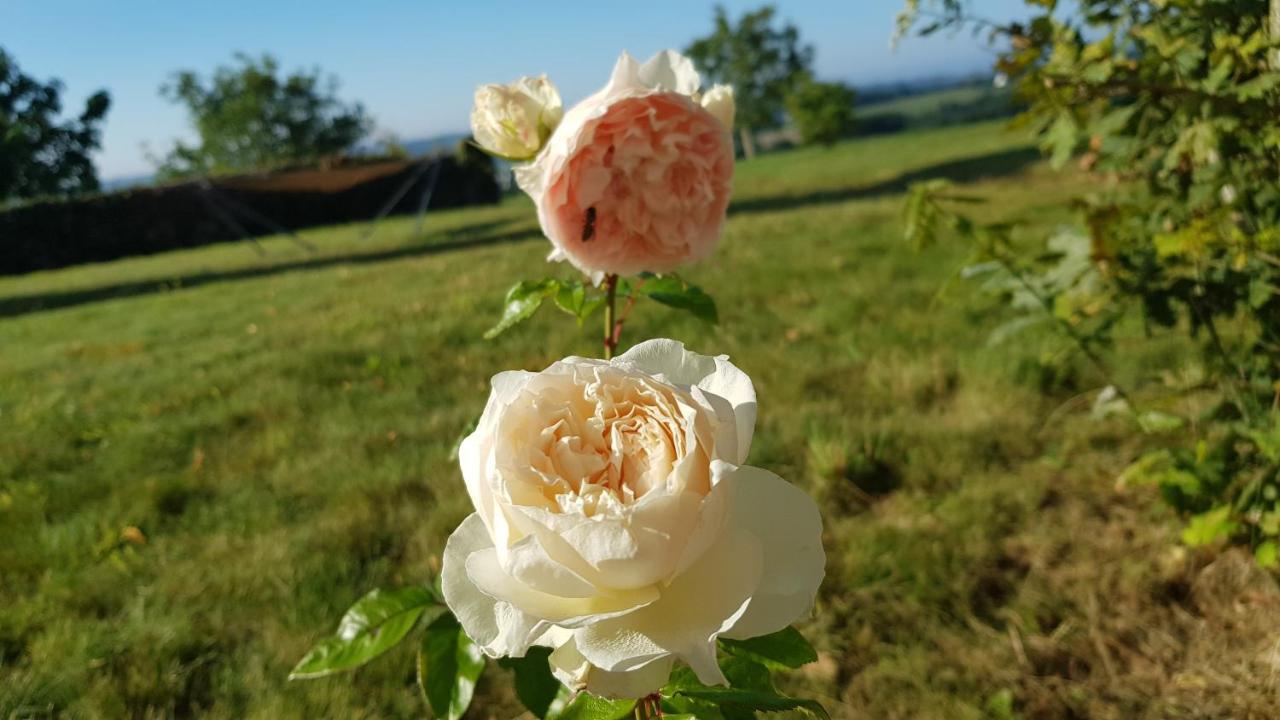 Belle Visnonia Meuble De Caractere Sud Morbihan Beganne ภายนอก รูปภาพ